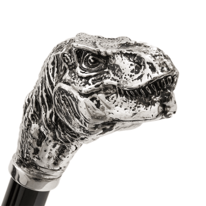 Silver T-Rex Umbrella, Fancy Umbrella for Men Handcrafted