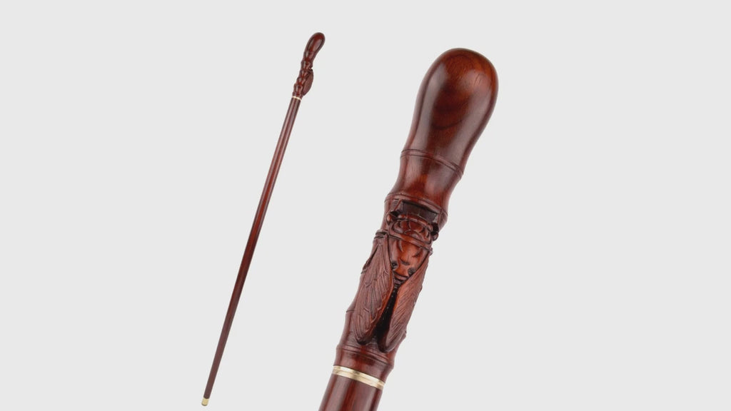 Rare Orthopedic walking cane