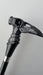 Black Crow Skull Walking Cane, Goth Style Stick