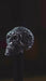 Skull modern walking cane