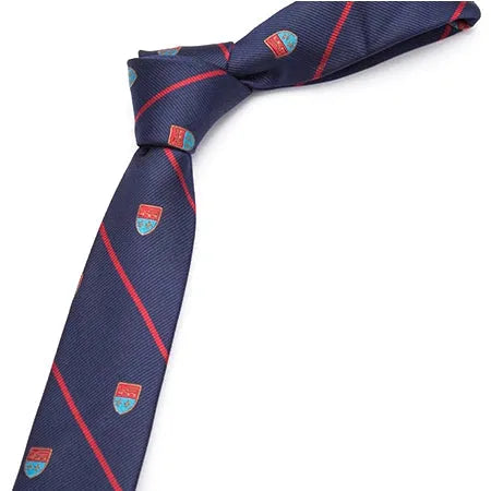 Striped Fancy Skinny Tie for Classy Men - Elegant Accessory for Any Occasion