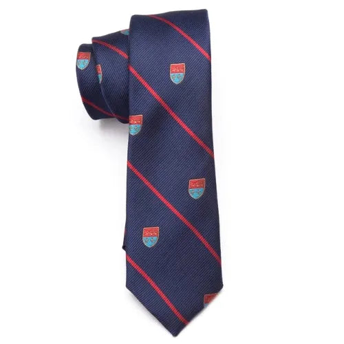 Striped Fancy Skinny Tie for Classy Men - Elegant Accessory for Any Occasion
