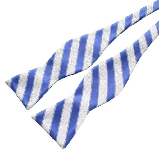 Blue and White Silk Self-Tie Bow Tie for Classy Men