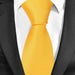 Mens Classic Plain Tie in 20 Elegant Colors