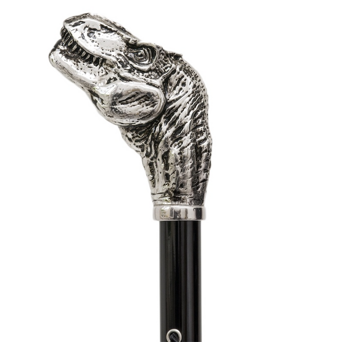 Unveiling Elegance, Design Shoe Horn Dinosaur Modern Handle