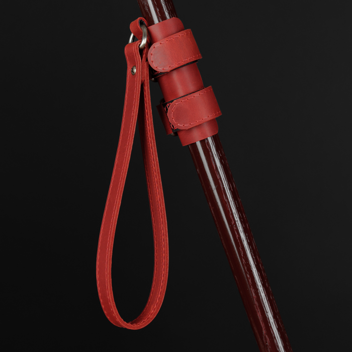 Red walking stick leash holder